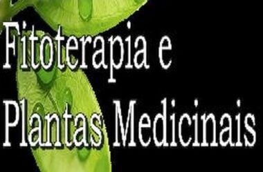 Curso Terapeuta em Fitoterapia e Plantas Medicinais É Bom? Capacitação em Tratamento Fitoterápico