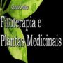 Curso Terapeuta em Fitoterapia e Plantas Medicinais É Bom? Capacitação em Tratamento Fitoterápico