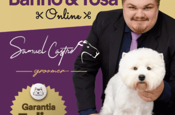 Curso Banho e Tosa Online Samuel Castro