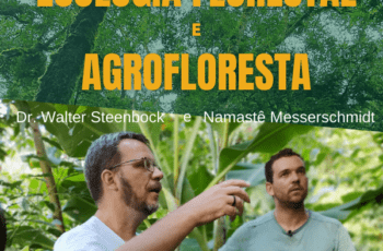 Ecologia Florestal e Agrofloresta