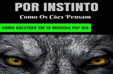 Livro Adestramento por Instinto Como os Cães Pensam PDF Fernando Lima É Bom?