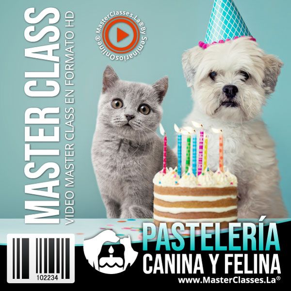 Curso Pasteleria Canina y Felina