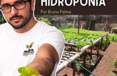 Curso de Hidroponia – Por Bruno Palma É Bom Vale a Pena?
