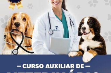 ClickVET – Curso de Auxiliar Veterinária É Bom Vale a Pena?
