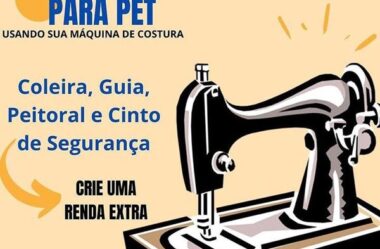 Curso de costura online, aprenda a criar peitoral H, Guia, Coleira e Cinto de segurança para cachorro