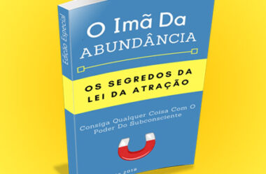 O Imã Da Abundância: Os Segredos Da Lei Da Atração 2 Livro PDF Download