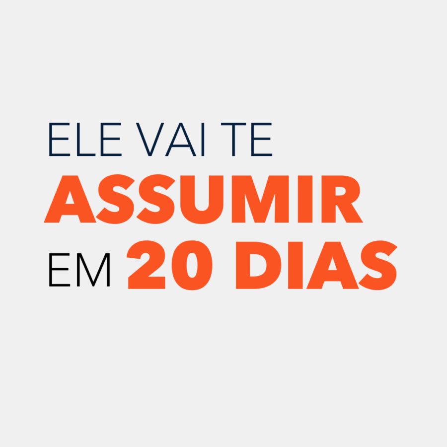 Ele vai te ASSUMIR em 20 dias PDF Download